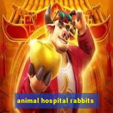 animal hospital rabbits